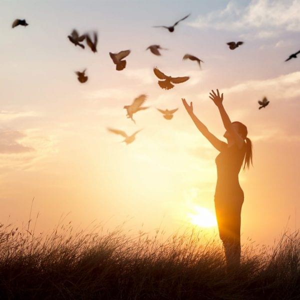 About The Serenity Prayer About The Serenity Prayer