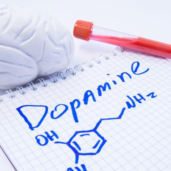 Understanding Addiction